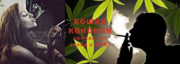 гидропоника Белокуриха