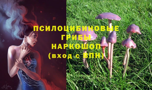 apvp Белоозёрский