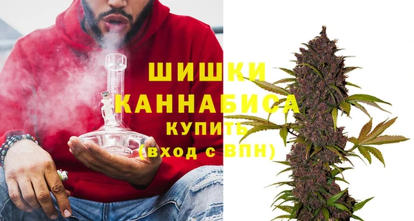гидропоника Белокуриха