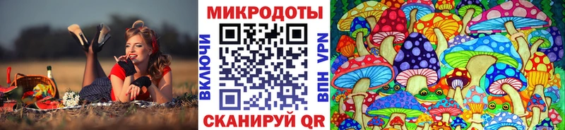 Купить  Вытегра  Галлюциногенные грибы GOLDEN TEACHER 